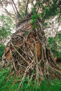 Beyond Angkor lies Koh Ker