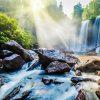 Kulen Elephant Forest and Kulen Mountain Private Tour