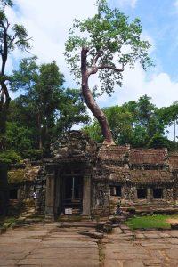 Ta Prohm's ancient doorway during our 2.5-Day Siem Reap Journey, where timing means everything