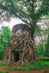 Where black sandstone meets nature's embrace - discover the pyramids and towers of Koh Ker, the forgotten throne of kings