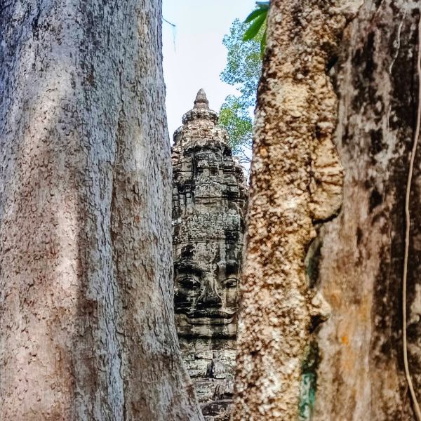 Angkor Thom Victory Gate with the Best Ta Prohm and Angkor Thom tour with late morning start