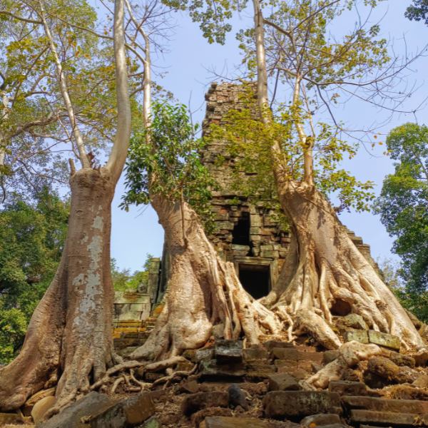 Preah Palilay Temple with the Best Ta Prohm and Angkor Thom tour with late morning start