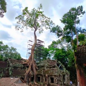 Step into Tomb Raider's famous filming location with our Late Morning Angkor Tour.
