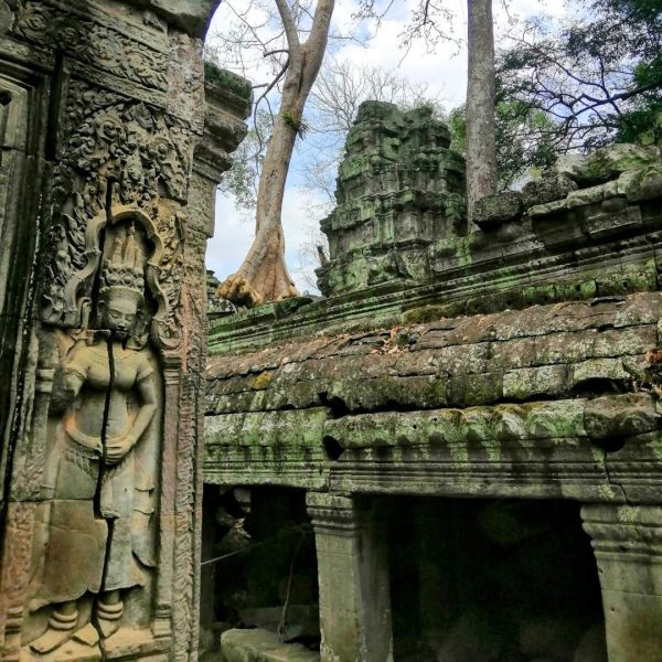 Angkor Wat Half Day Sunset Tour Angkor Wat Afternoon Tour [3 Temples, 2 Angkor Gates, 1 Sunset. 0 Stress]
