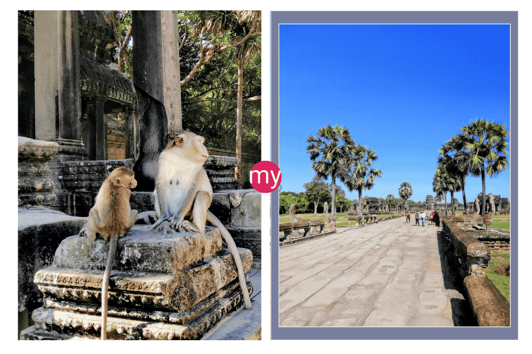 Lost at Angkor Wat Only One Day at Angkor Wat Your Angkor Wat Tourist Guide Is Here!