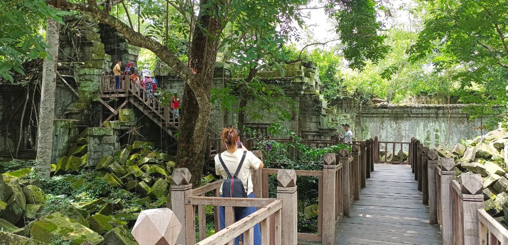 Where Ancient Stones Meet Living Jungle – Angkor's Wild Beauty