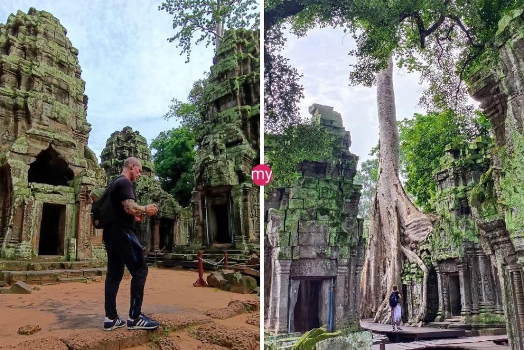 Ta Prohm History - When Jungle Reclaims Human Achievement