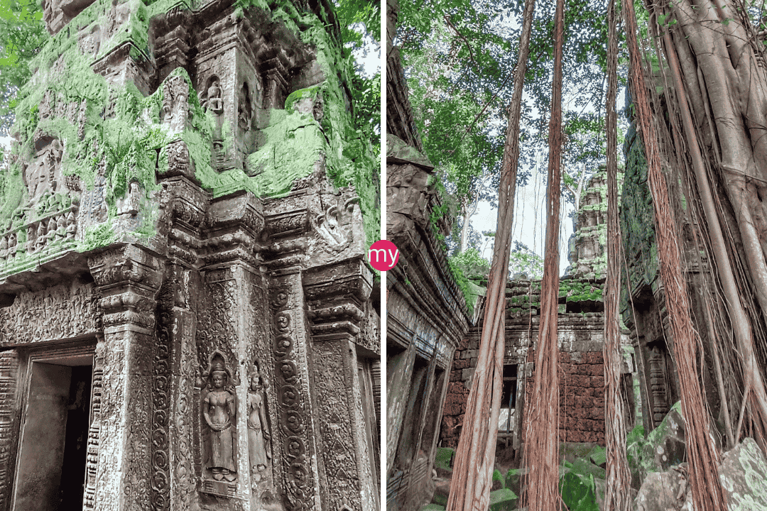 Ta Prohm vs Bayon Temple - Which Angkor Icon Deserves Your Time