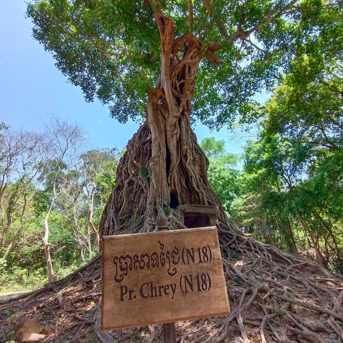 Private Siem Reap to Phnom Penh Taxi Service Exploring the Hidden Beauty of Sambor Prei Kuk