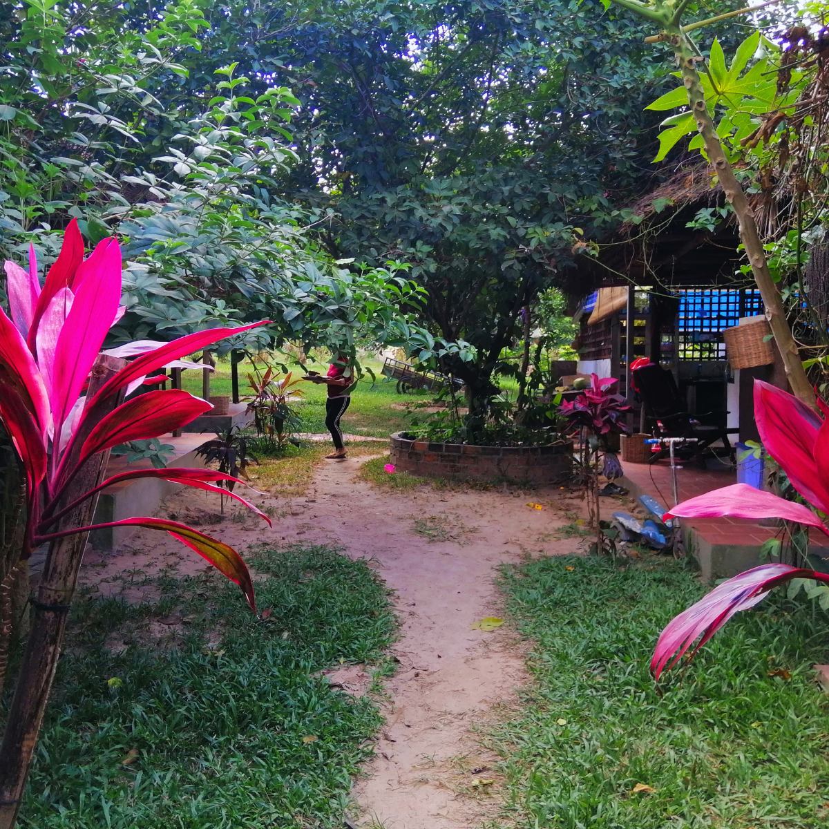 Fully Independent Traveler Package 10 days in Cambodia Kampot morning