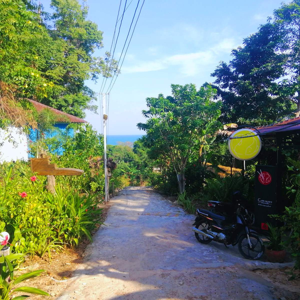 Fully Independent Traveler Package 10 days in Cambodia Koh Rong palm shore