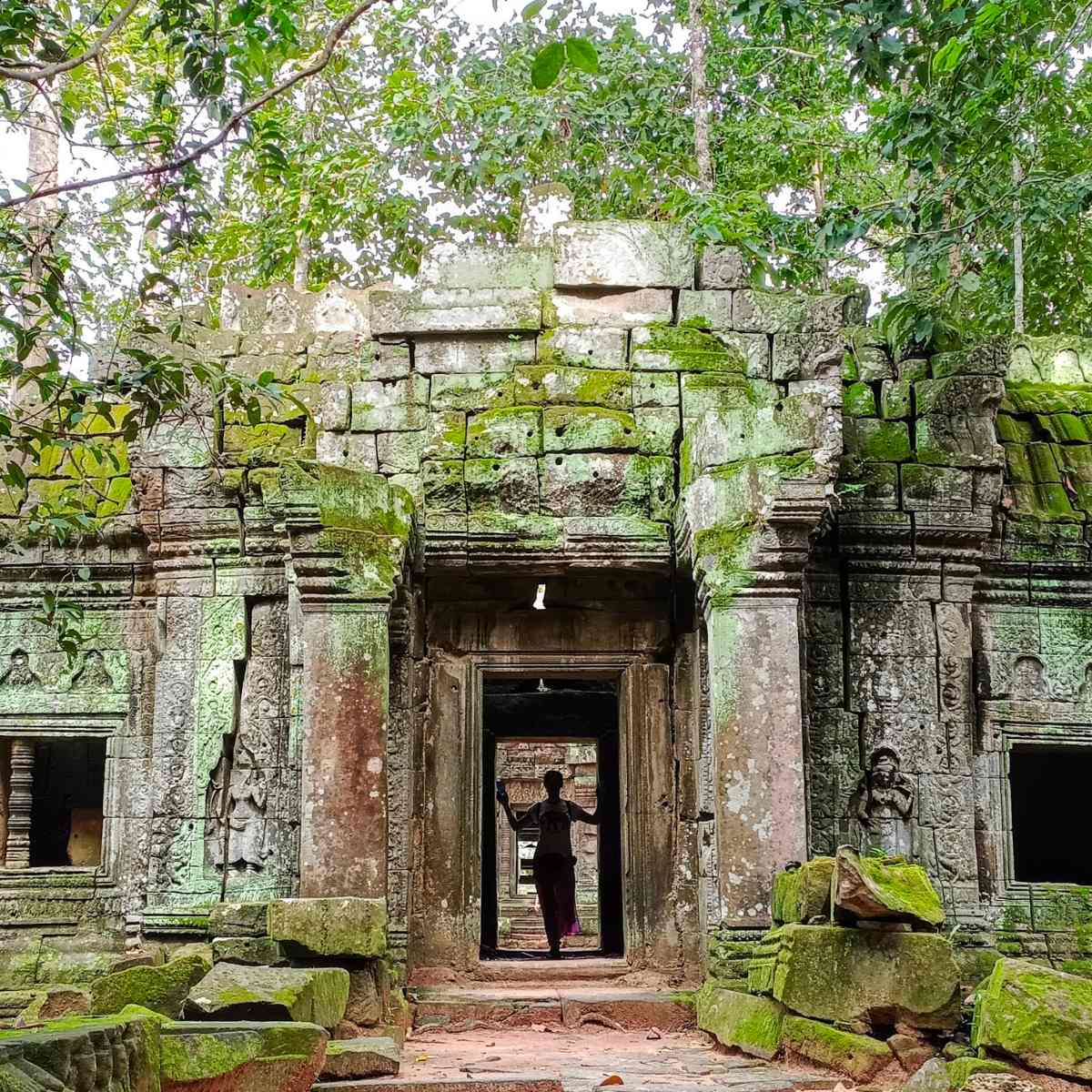 Fully Independent Traveler Package - Private Driver Tour Days
