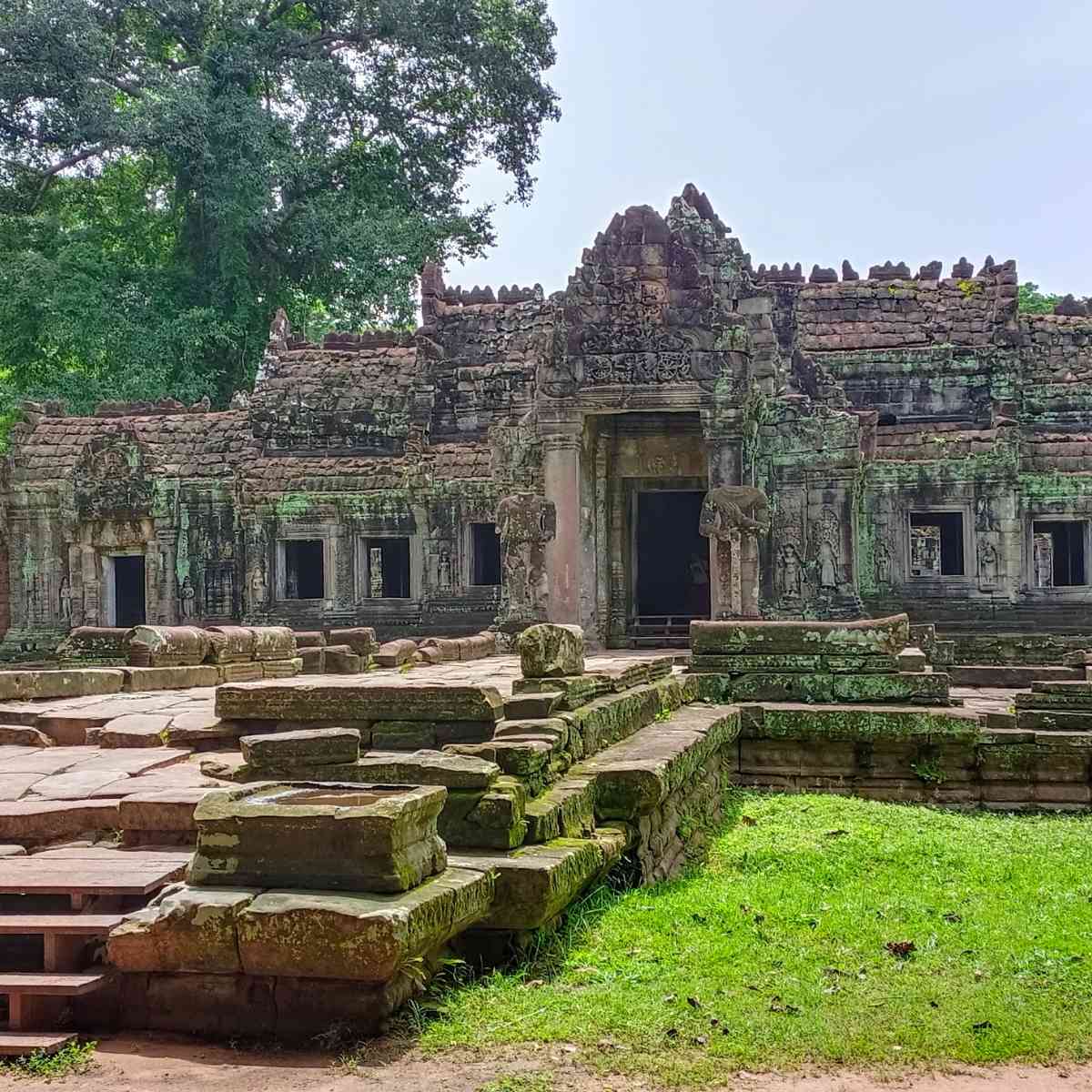 Fully Independent Traveler Package - Ta Prohm Temple Visit
