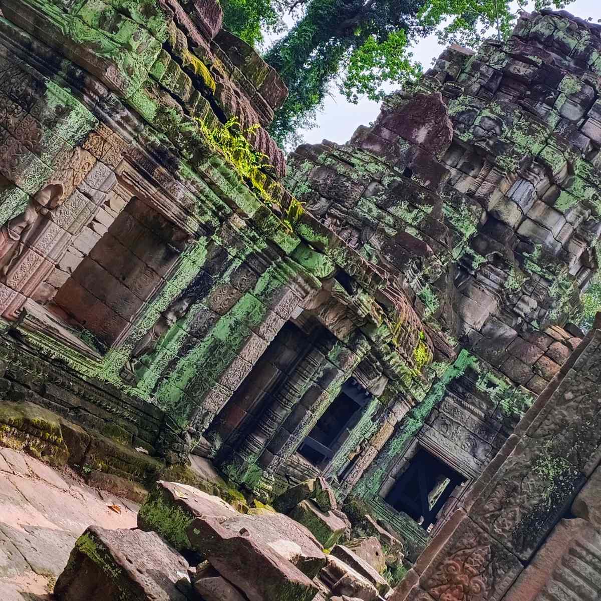 Fully Independent Traveler Package at Ta Prohm
