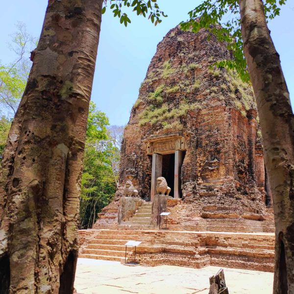 Land in Phnom Penh on Day 1, leave from Siem Reap on Day 5, with Phnom Penh airport pickup, road sightseeing, Siem Reap airport drop-off