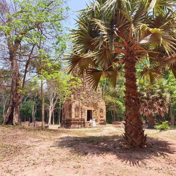 Cambodia Angkor Wat Tour Package 8 Days 7 Nights with Island Relax- Fly in Siem Reap - Tour ends in Phnom Penh