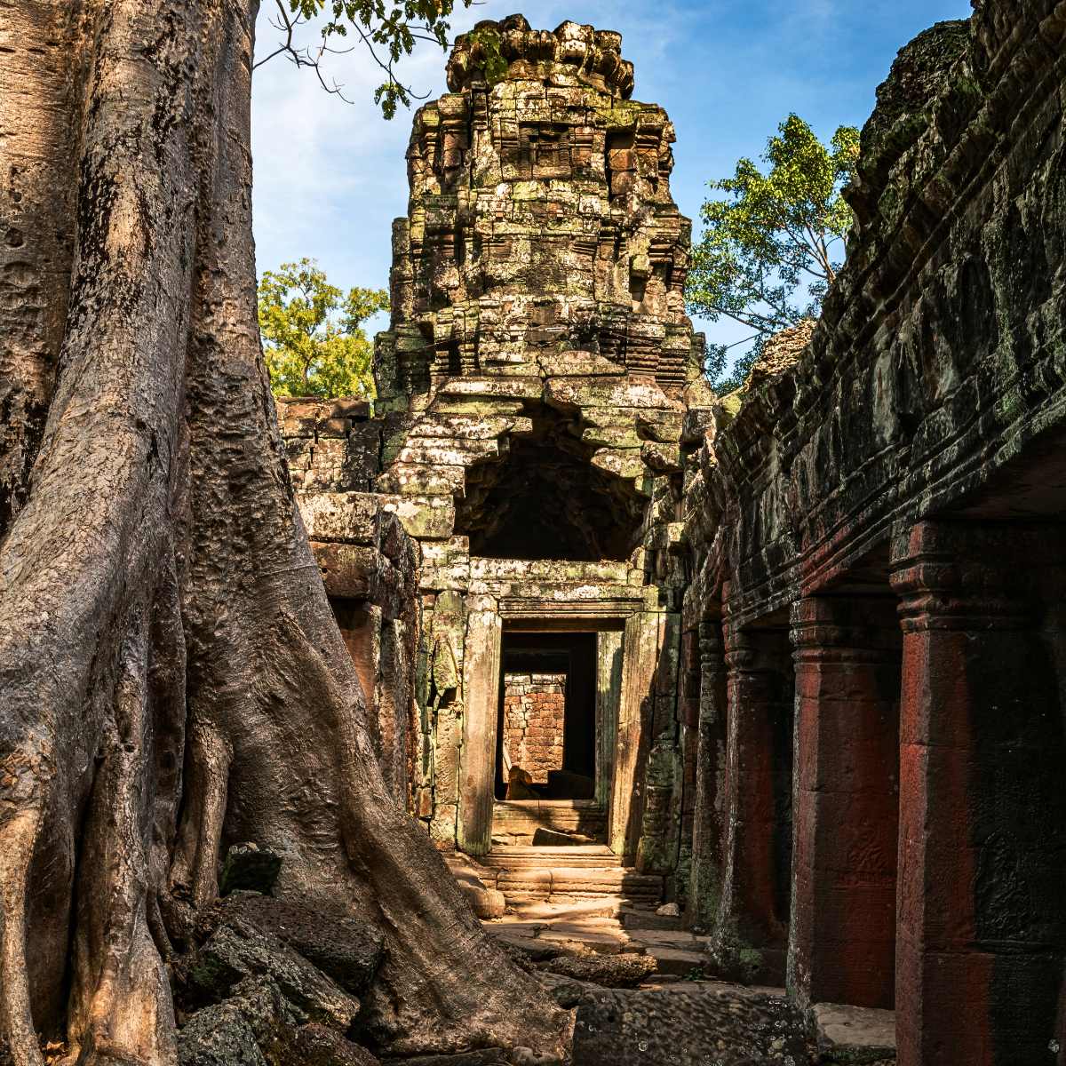 Includes Angkor Small Circuit tour with Angkor Wat, Bayon, Ta Prohm, village stops, plus Khmer buffet Apsara dinner show in Siem Reap with hotel pickup and drop-off