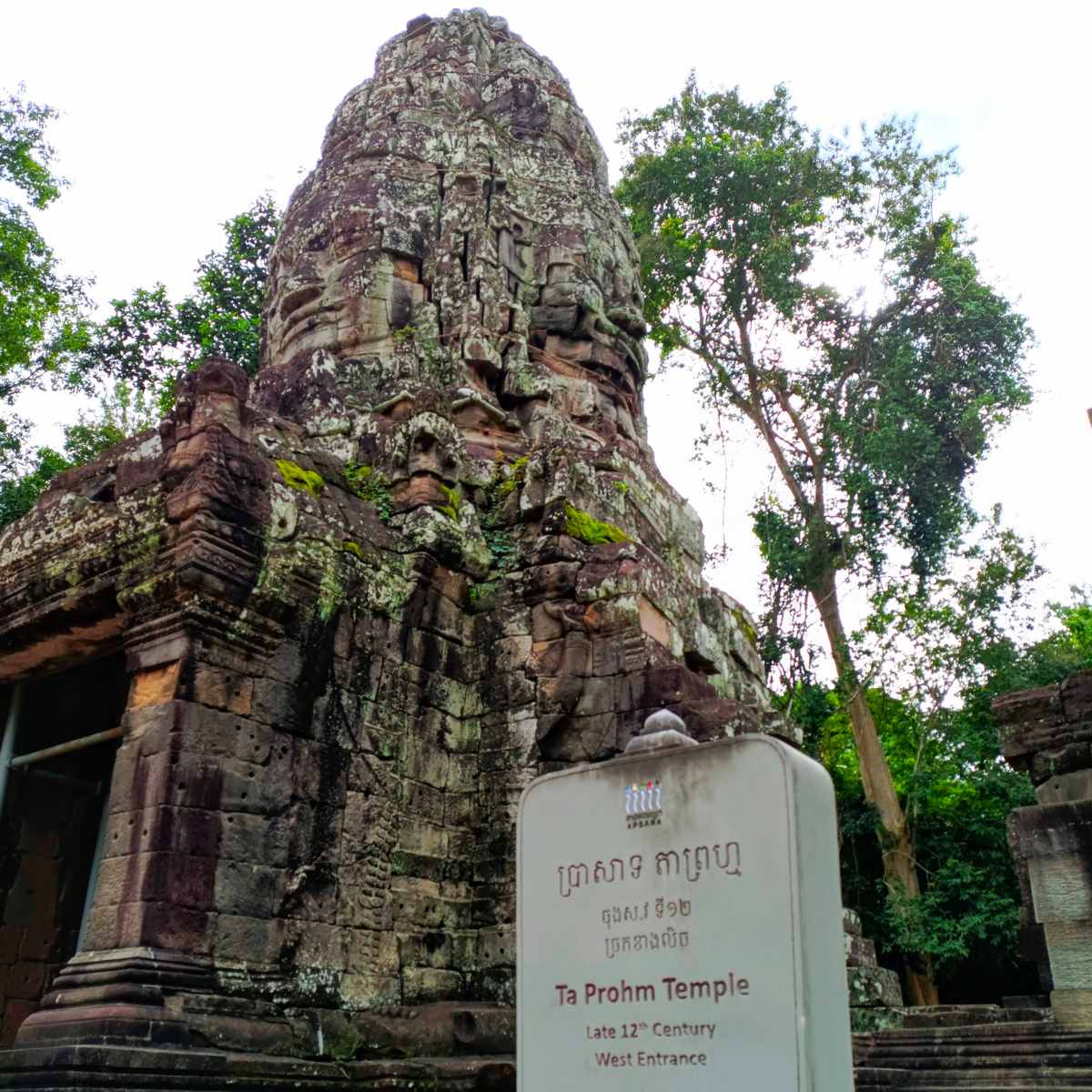 Ta Prohm Temple Ruins and Jungle Views in Siem Reap Cambodia