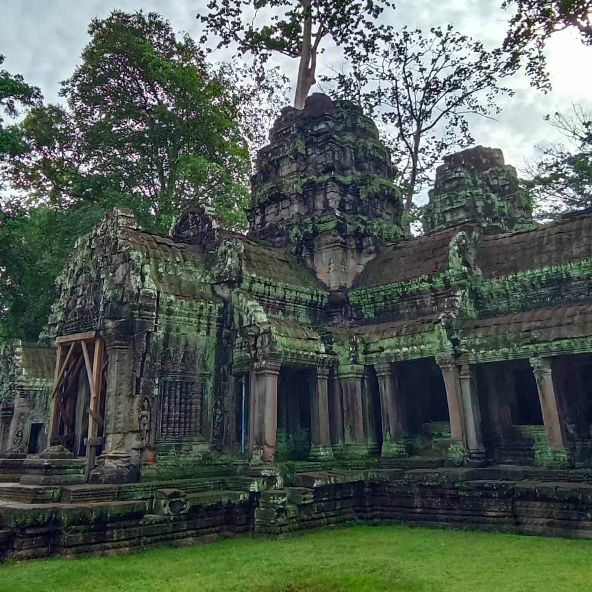 Ta Prohm Temple in Siem Reap on Cambodia Angkor Wat Tour Package 8 Days 7 Nights with Island Relax