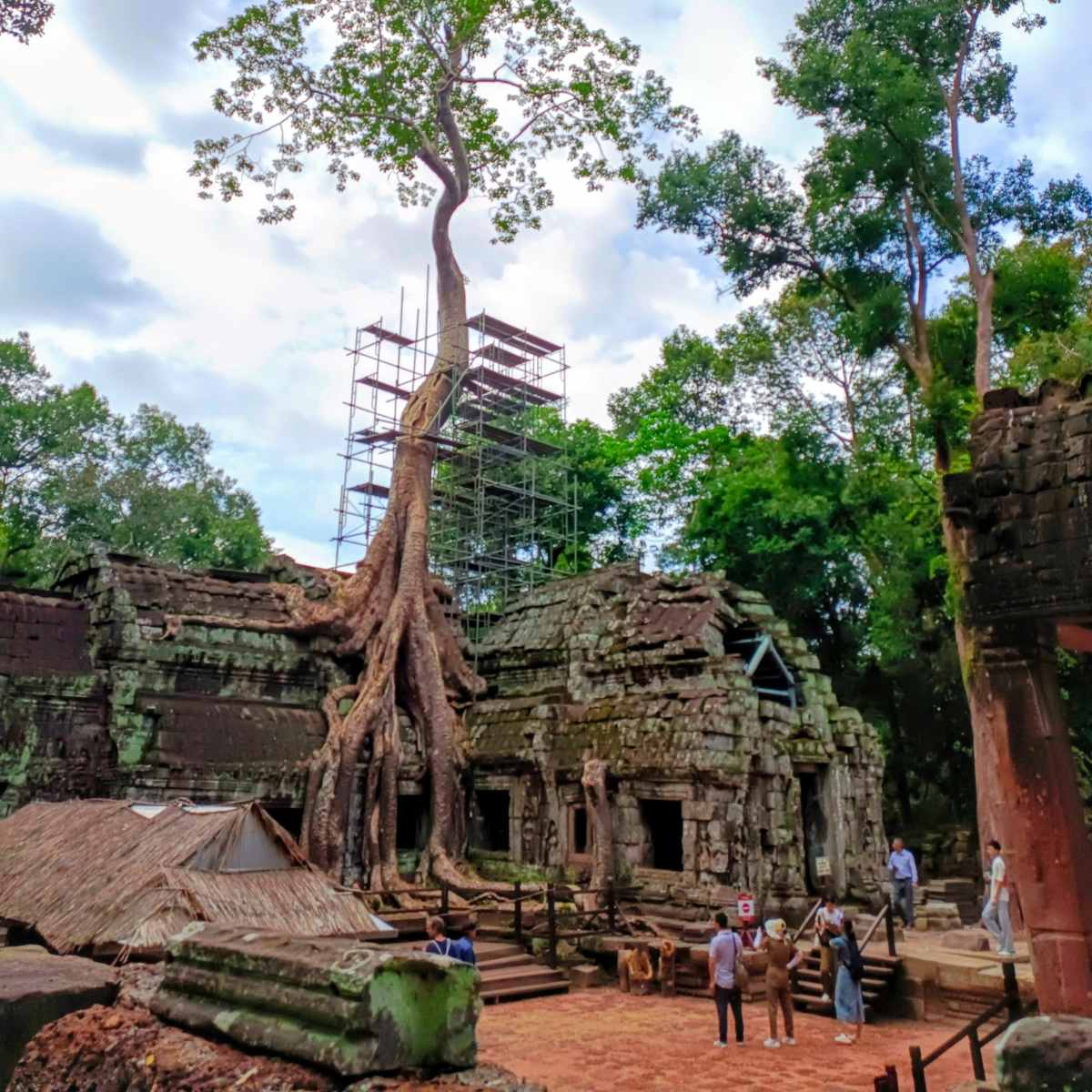 Visit Ta Prohm Temple on an Angkor Wat and Koh Rong Tour in Cambodia